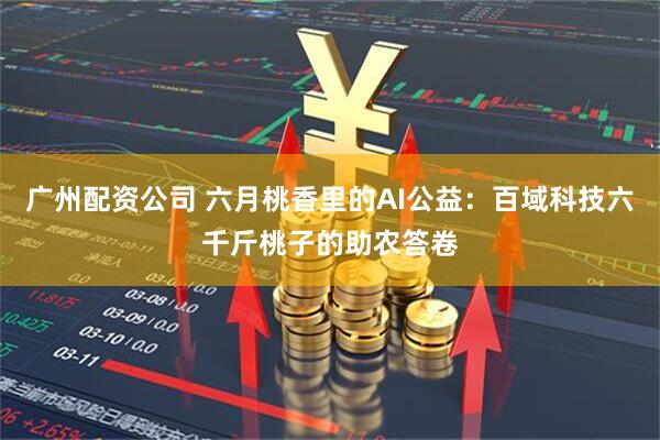 广州配资公司 六月桃香里的AI公益：百域科技六千斤桃子的助农答卷