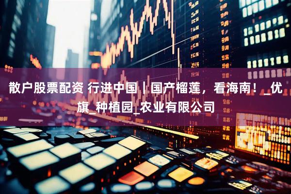 散户股票配资 行进中国｜国产榴莲，看海南！_优旗_种植园_农业有限公司