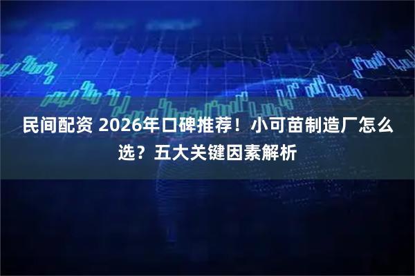 民间配资 2026年口碑推荐！小可苗制造厂怎么选？五大关键因素解析